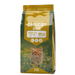 Cebican Kitten